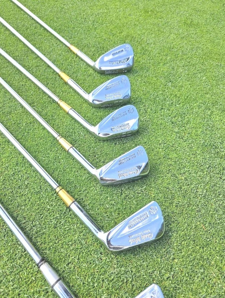 Craig Wood Gold Signature Golf Clubs Iron Set With Bag & Extras ⛳️ Lake Placid — photo 10