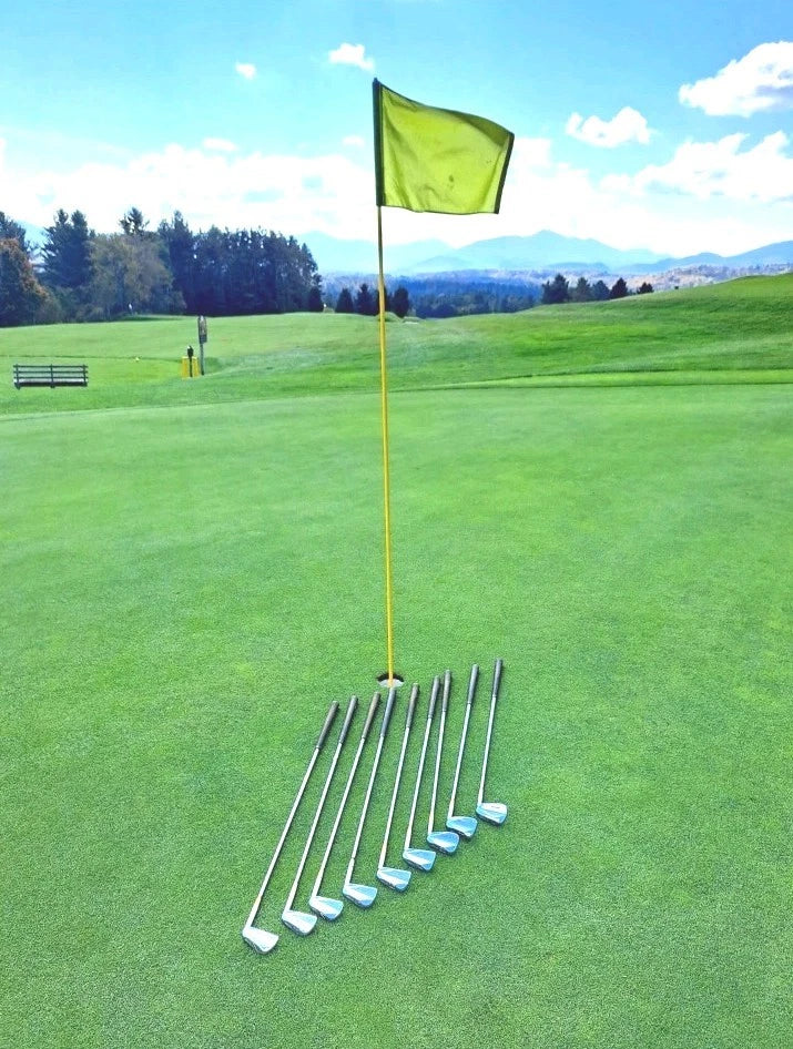 Craig Wood Gold Signature Golf Clubs Iron Set With Bag & Extras ⛳️ Lake Placid — photo 11
