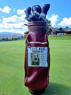Craig Wood Gold Signature Golf Clubs Iron Set With Bag & Extras ⛳️ Lake Placid — photo 2