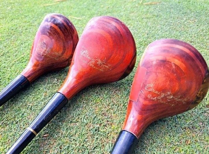 Craig Wood Gold Signature Golf Clubs Iron Set With Bag & Extras ⛳️ Lake Placid — photo 4