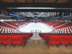 Vintage Can/Am Hockey Banner — Herb Brooks Arena, 55×34 inches — photo 6