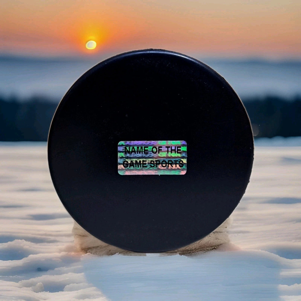 Miracle On Ice Buzz Schneider Signed USA Hockey Puck 1980 USA Hockey — photo 3